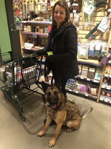 Read more about the article Best Dog Breeds for Family Security: What Families Need to Know Before Choosing a Protection Dog