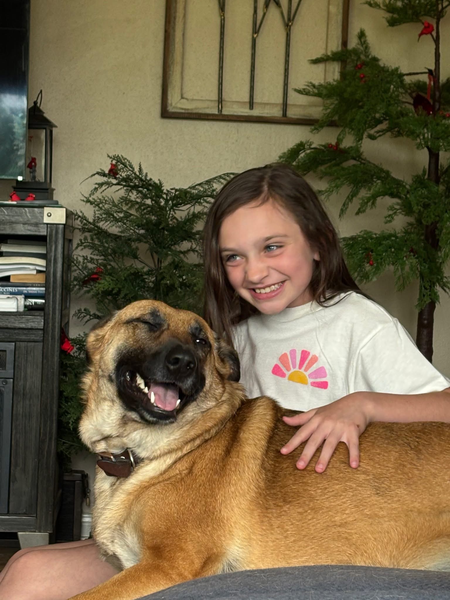Read more about the article How to Feel Safer at Home | Fortress K9