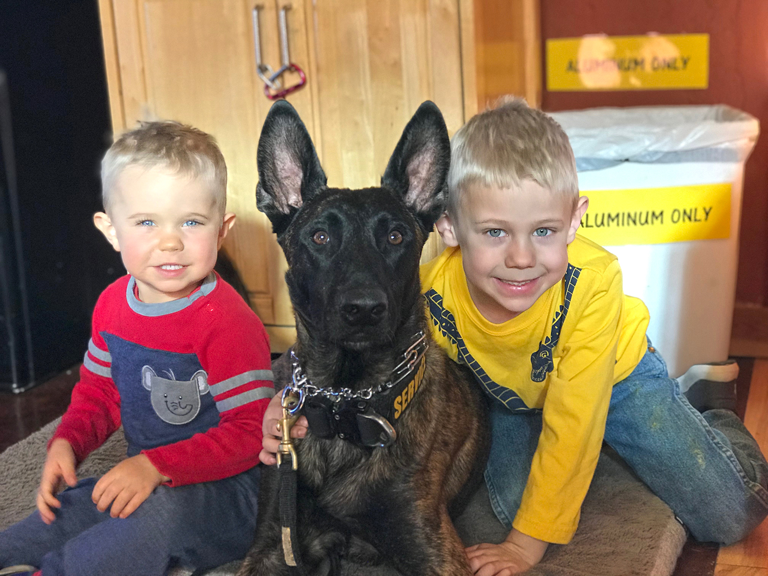 You are currently viewing Is a Family Protection Dog Safe With Children? What Families Need to Know Before Buying