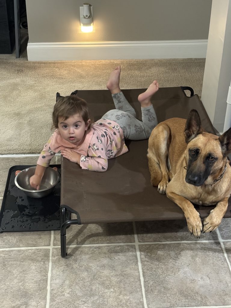 Child with a trained Fortress K9 protection dog