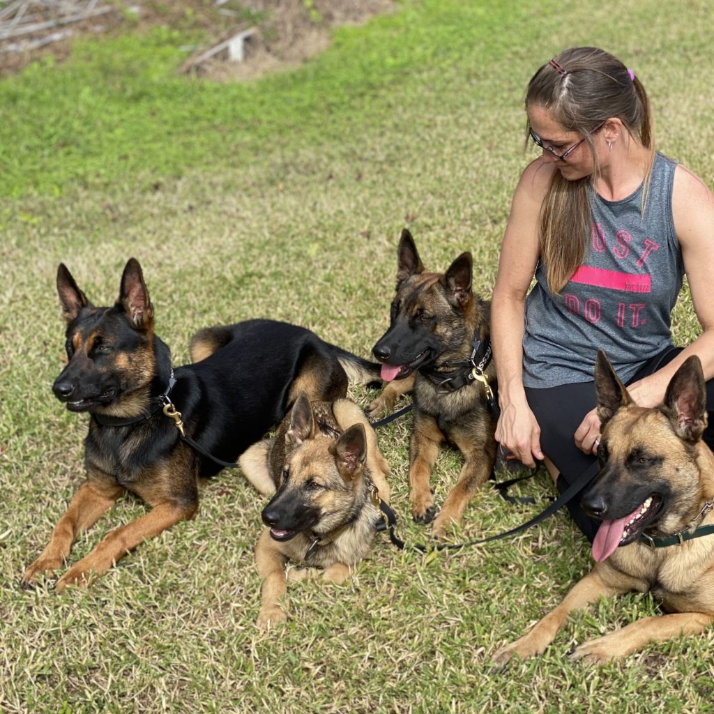 Family handler with multiple Fortress K9 protection dogs
